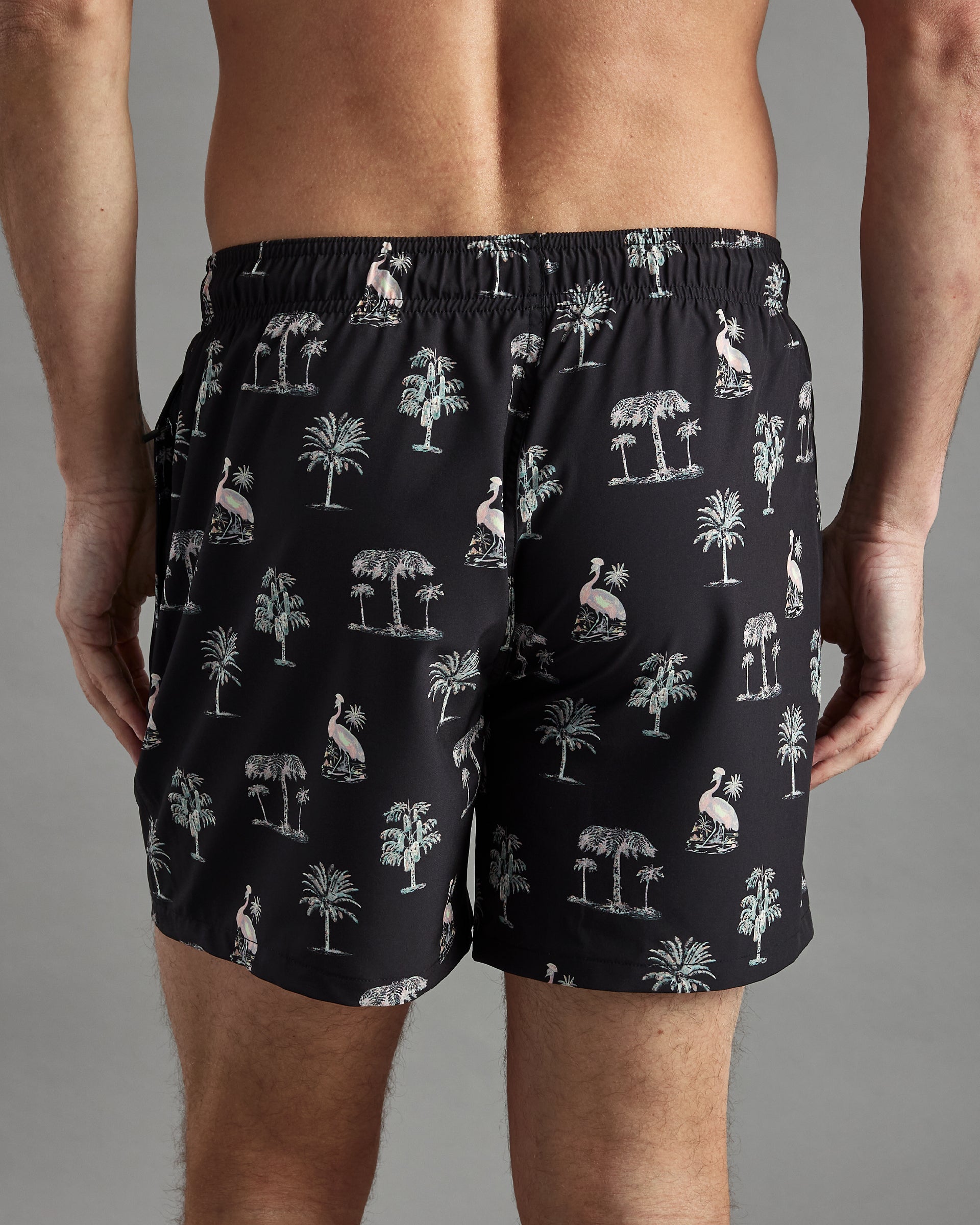 Zero Mesh Swim Shorts